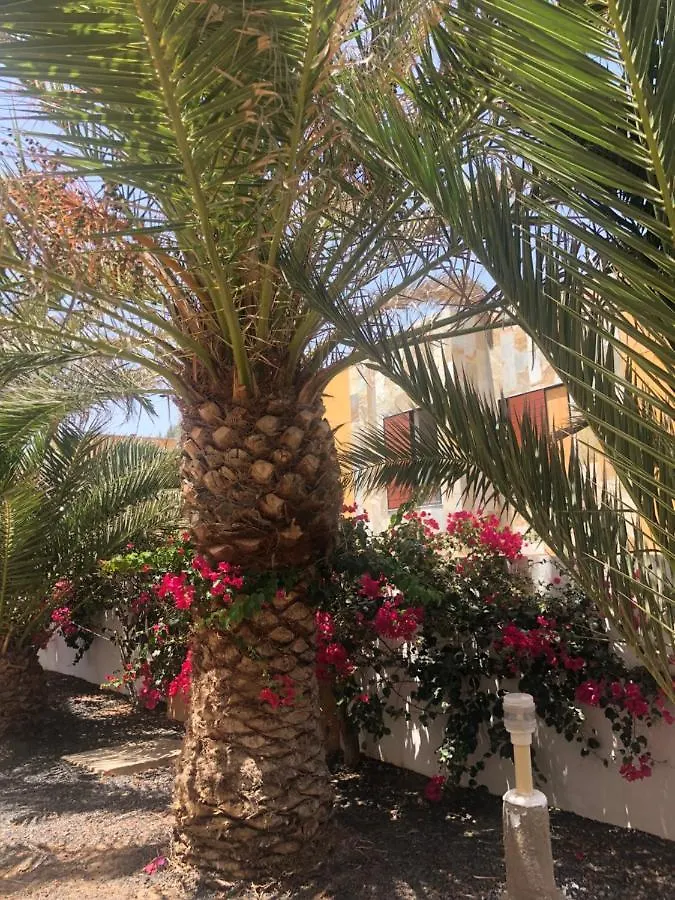 Apartamento LE SOLEIL Complex Amaya Fuerteventura Costa De Antigua